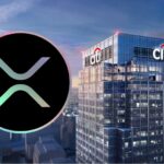 citigroup xrp ripple market cap