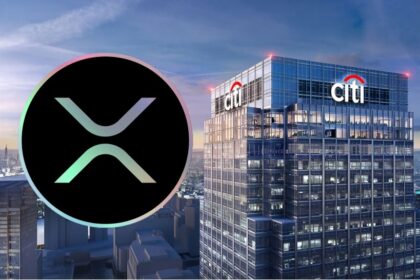 citigroup xrp ripple market cap