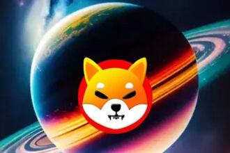 Shiba Inu Ecosystem Solar Eclipse SHIB