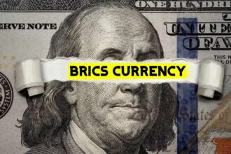 Shiba Inu Team Explains Why Shibarium Will Survive