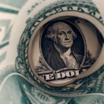 Tesla CEO Elon Musk and US President Donald Trump