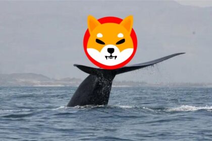 169B SHIB Whale Sweeps Coinbase
