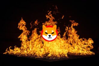 DOGECOIN STARING INTO THE MIRROR