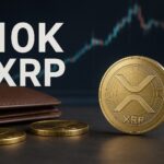 Only 4% Hold 10K XRP