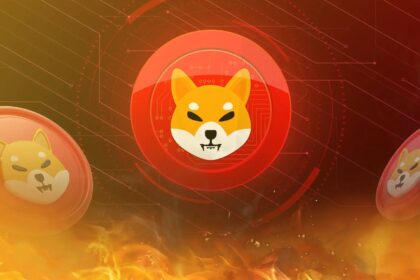 SHIB Burn Rate Explodes 10,786%