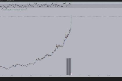 Bitcoin could 6x following Gold’s RSI, according to macro expert 