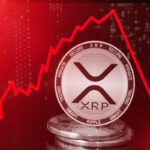 xrp market crash