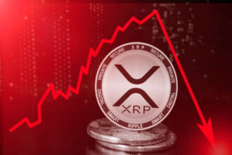 xrp market crash