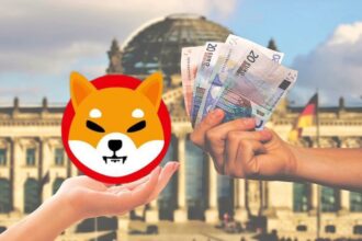 Meme coins surrounded by a lot of money