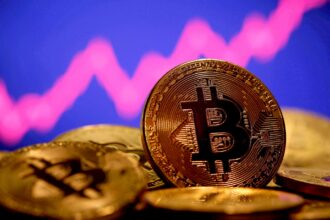 Shiba Inu 2026 Target Chances to Grow