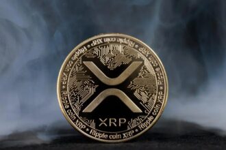 Ripple Will Unlock 1 Billion XRP As Whale Withdrawals Hit February High