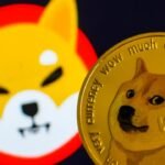 Shiba Inu Dogecoin