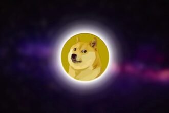Dogecoin doge meme coin currency