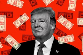 president donald trump us dollar usd