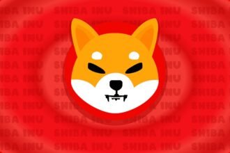 shiba inu shib red