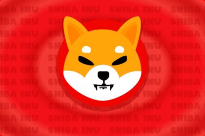 shiba inu shib red
