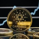 Is Nvidia Stock a Bargain While AMD Surges 150% and Intel 256%