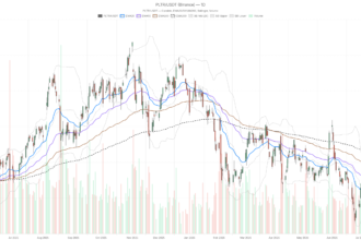 Palantir stock breaks below all EMAs — can August 3 earnings save it?