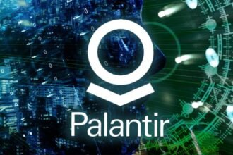 Why Is Palantir Stock Crashing