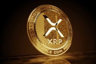 XRP Repricing Explained