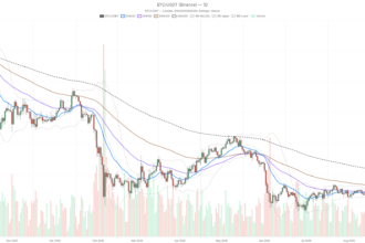 Bitcoin price today holds near $80K as RSI hits 81.71, flashing overbought risk