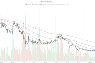 Dogecoin price today stalls at $0.08 as market cap drops 2.98%