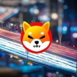 shiba inu city lights boken street