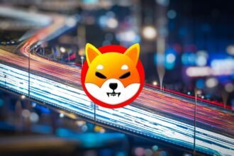 shiba inu city lights boken street